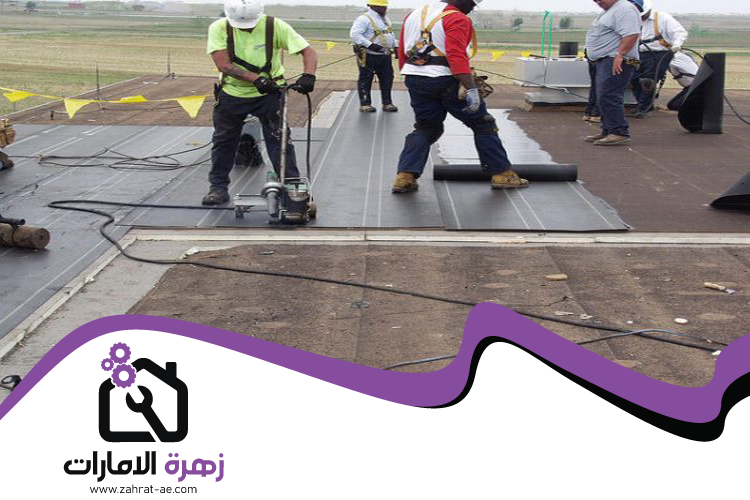 شركة عزل اسطح في العين