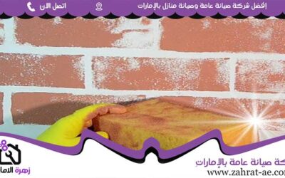 صباغ في عجمان 0564420061 أفضل دهان0 (0)