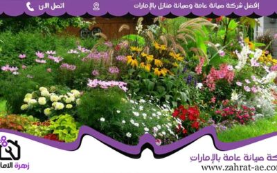 شركة تنسيق حدائق في الشارقة 05644200610 (0)