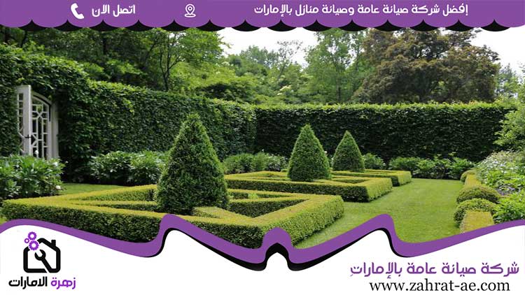 تركيب عشب صناعي في الشارقة
