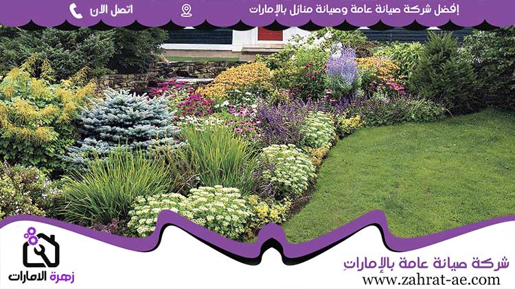تركيب عشب صناعي في العين