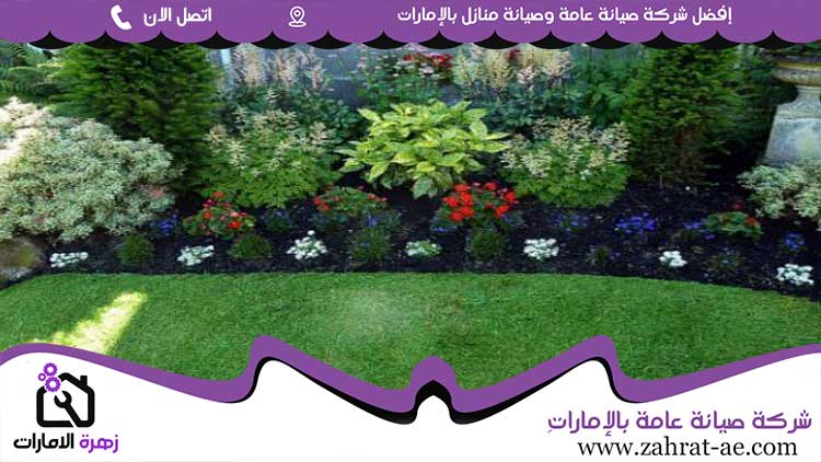 شركة تنسيق حدائق في دبي