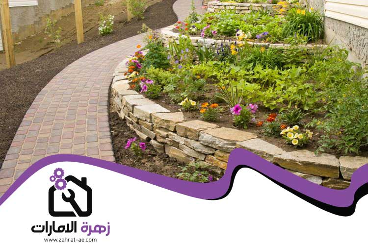 تركيب عشب في أم القيوين