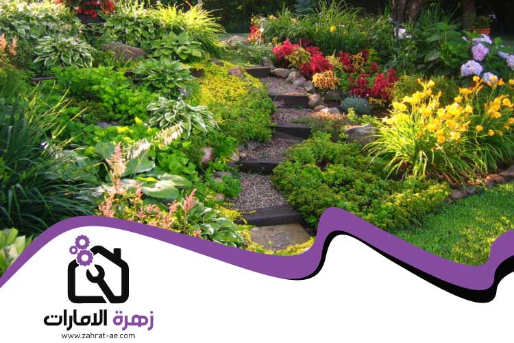تركيب عشب في أم القيوين