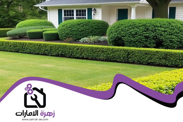 شركة تنسيق حدائق في عجمان 5 شركة تنسيق حدائق في عجمان