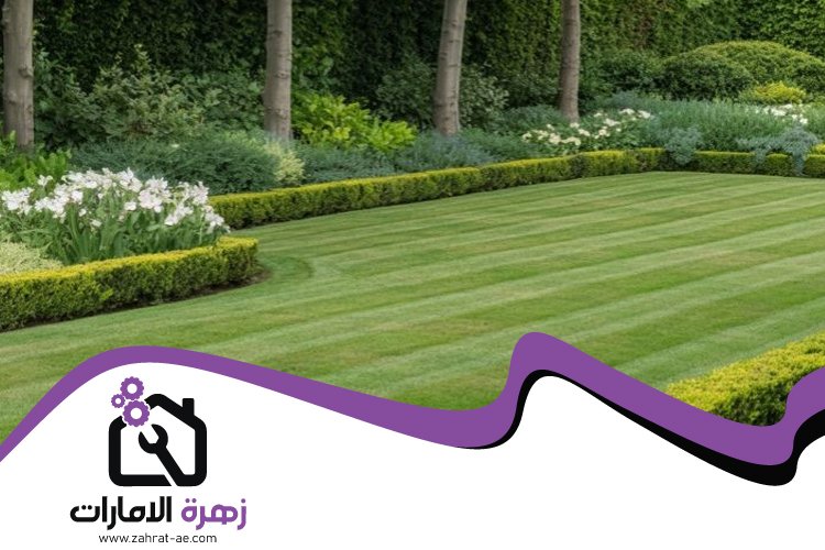 شركة تنسيق حدائق في عجمان 4 شركة تنسيق حدائق في عجمان