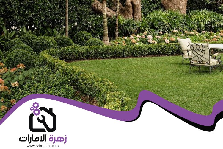 شركة تنسيق حدائق في عجمان