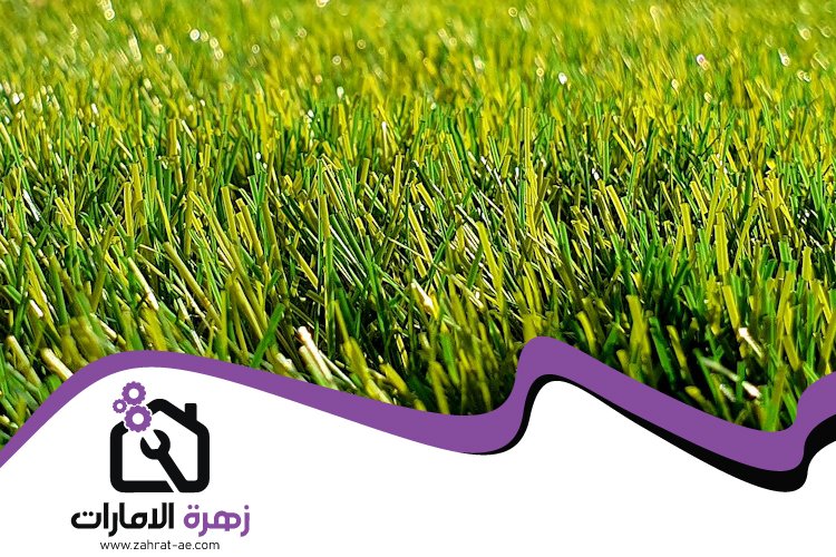 تركيب عشب صناعي في عجمان 5 تركيب عشب صناعي في عجمان