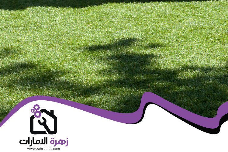 تركيب عشب صناعي في عجمان