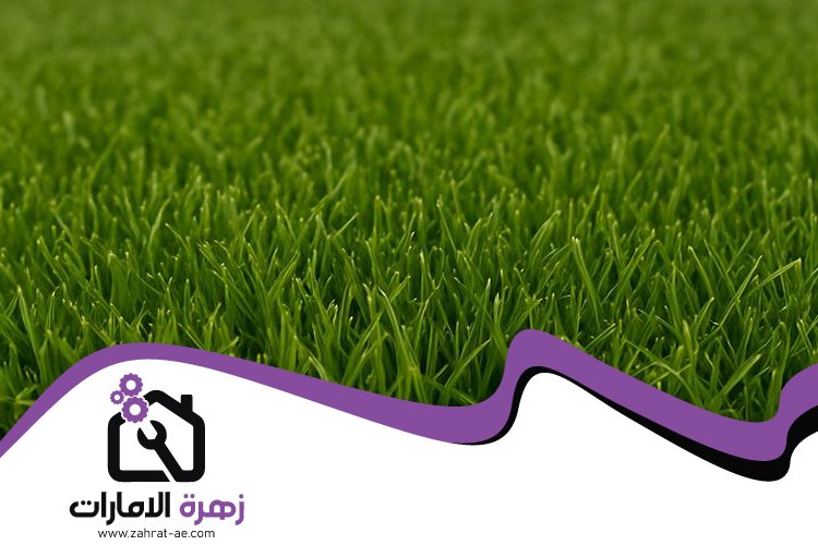 تركيب عشب صناعي في راس الخيمة