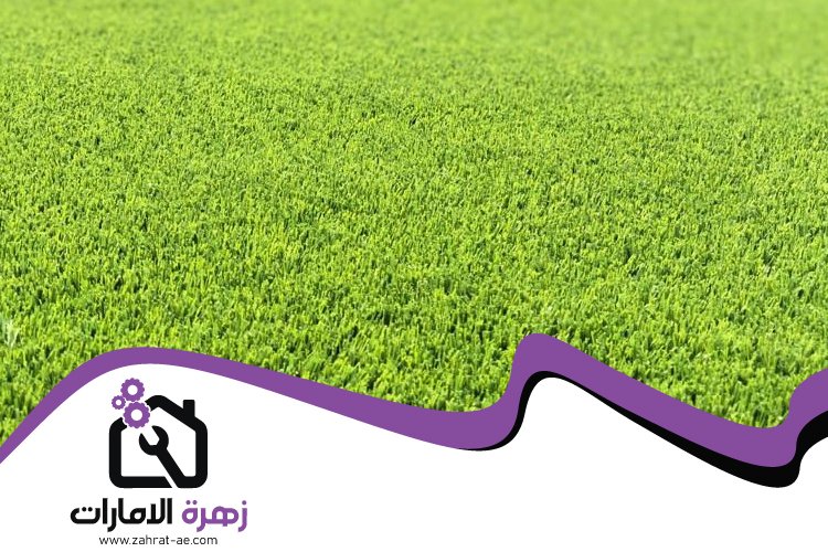 تركيب عشب صناعي في العين 4 تركيب عشب صناعي في العين