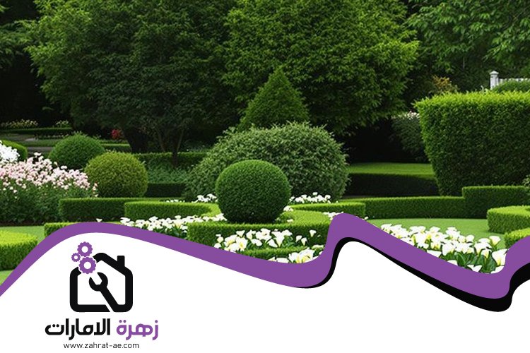 شركة تنسيق حدائق في دبي 4 شركة تنسيق حدائق في دبي