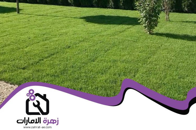 تركيب عشب صناعي في إعمار 3 تركيب عشب صناعي في إعمار