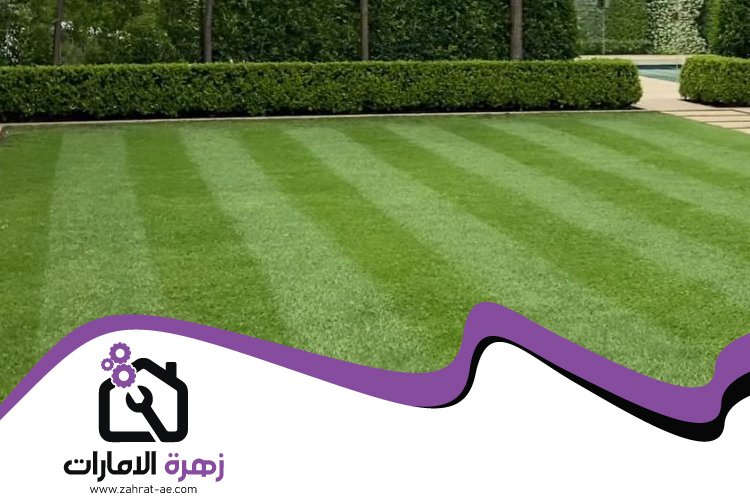 تركيب عشب صناعي في خورفكان 2 تركيب عشب صناعي في خورفكان