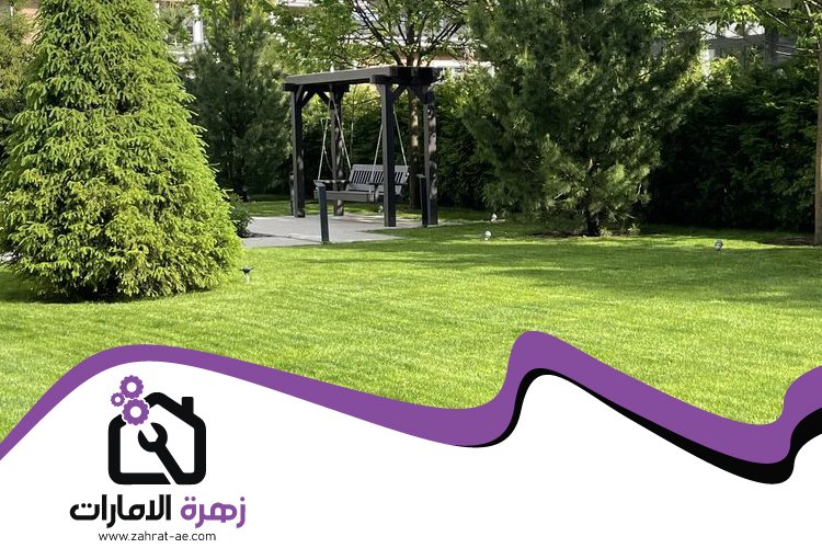 تركيب عشب صناعي في المدام 5 تركيب عشب صناعي في المدام
