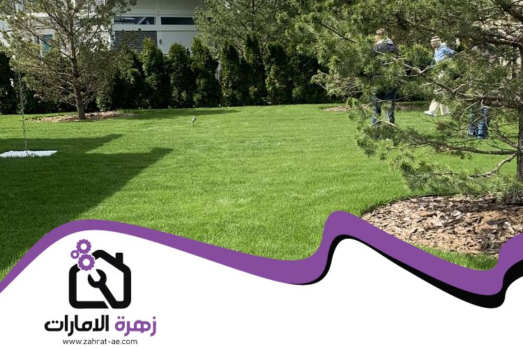 تركيب عشب صناعي في المدام 4 تركيب عشب صناعي في المدام