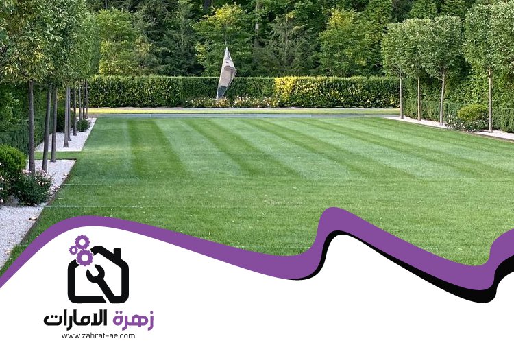 تركيب عشب صناعي في المدام 3 تركيب عشب صناعي في المدام