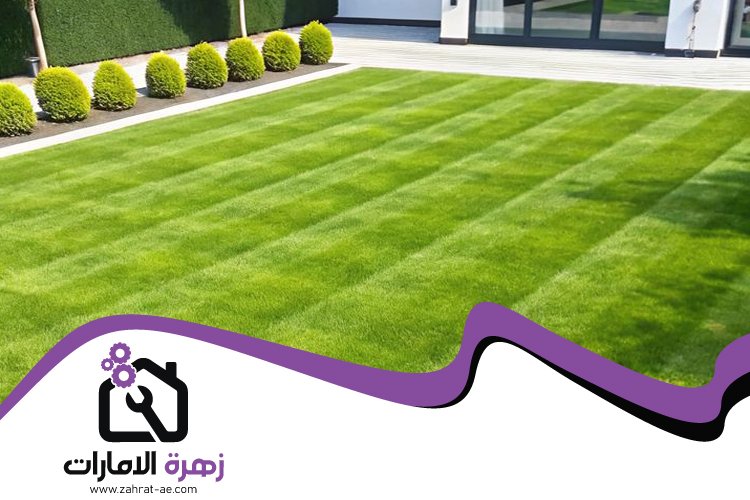 تركيب عشب صناعي في أم سقيم