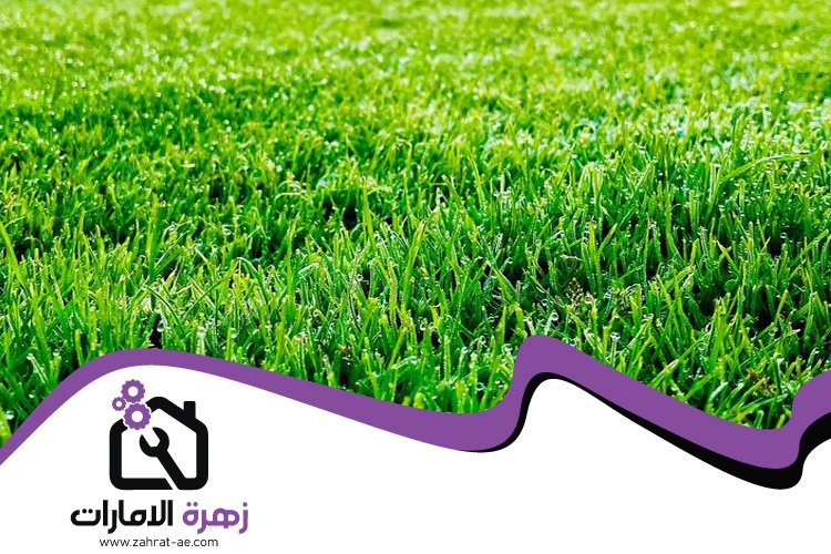 تركيب عشب صناعي في الزيد