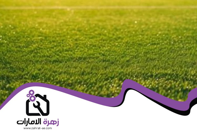 تركيب عشب صناعي في المنخول 5 تركيب عشب صناعي في المنخول