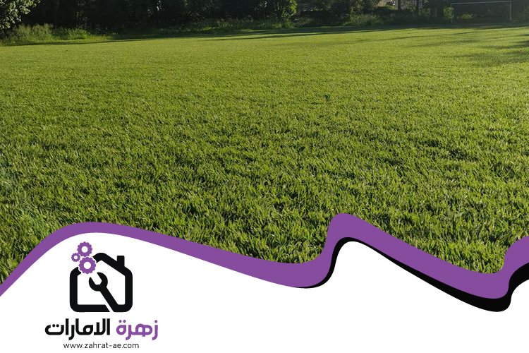 تركيب عشب صناعي في المنخول 4 تركيب عشب صناعي في المنخول