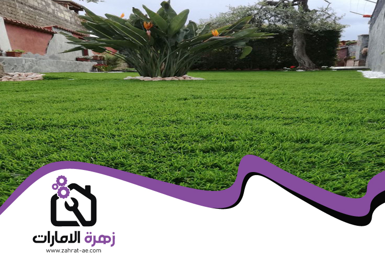 تركيب عشب طبيعي في راس الخيمة 4 تركيب عشب طبيعي في راس الخيمة