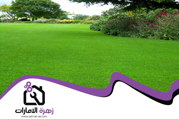 تركيب عشب طبيعي في راس الخيمة 5 تركيب عشب طبيعي في راس الخيمة