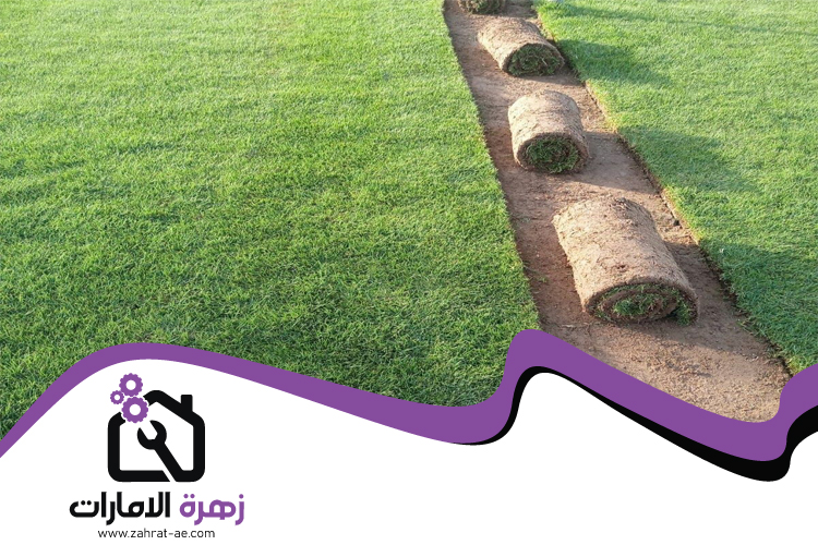 تركيب عشب طبيعي في عجمان 4 تركيب عشب طبيعي في عجمان