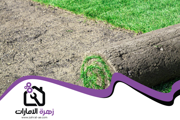 تركيب عشب طبيعي