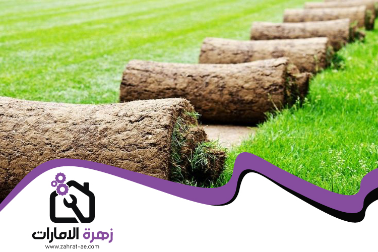 تركيب عشب طبيعي في دبي 4 تركيب عشب طبيعي في دبي