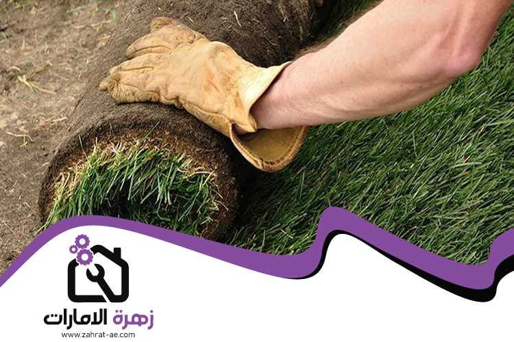 تركيب عشب طبيعي في الفجيرة 5 تركيب عشب طبيعي في الفجيرة