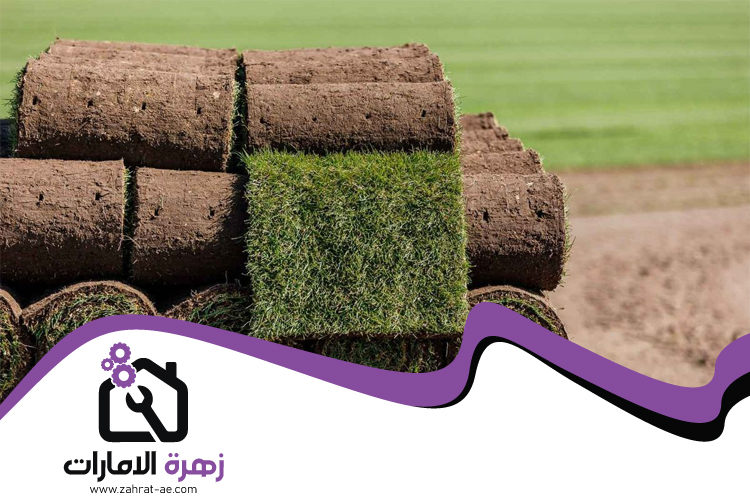 تركيب عشب طبيعي في دبي 5 تركيب عشب طبيعي في دبي