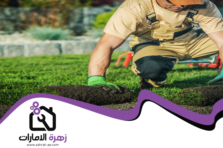 تركيب عشب طبيعي في الفجيرة 4 تركيب عشب طبيعي في الفجيرة