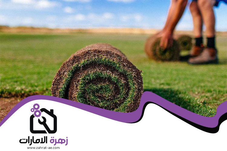 تركيب عشب طبيعي