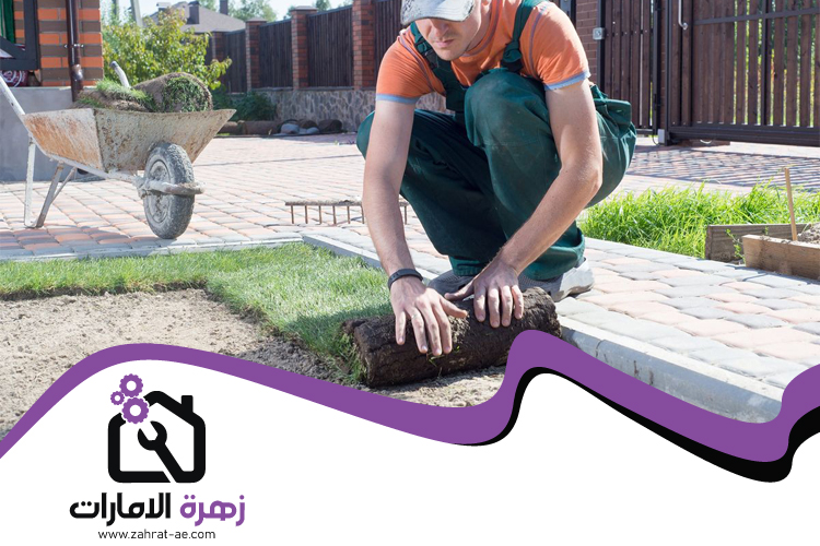 تركيب عشب طبيعي