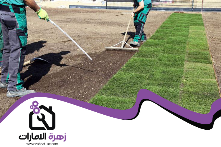 تركيب عشب طبيعي