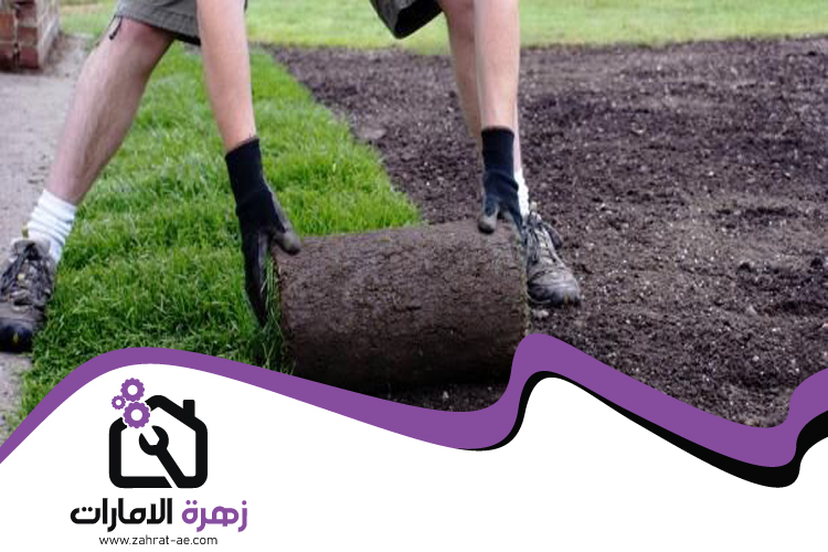 تركيب عشب طبيعي في الشارقة 5 تركيب عشب طبيعي في الشارقة