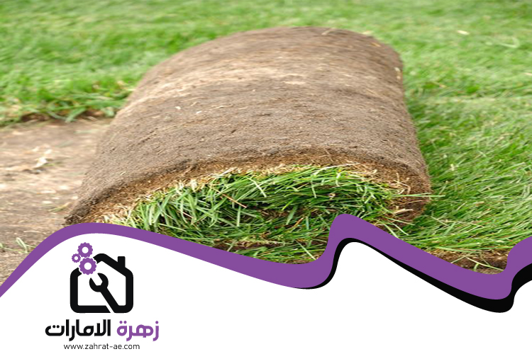 تركيب عشب طبيعي