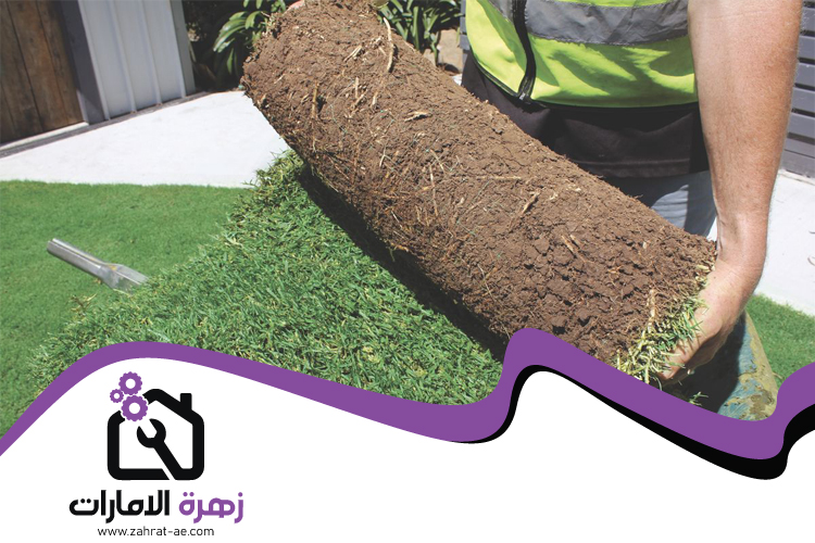 تركيب عشب طبيعي